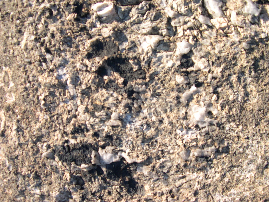 DSCN0078.JPG