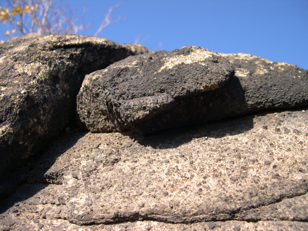 DSCN0079.JPG
