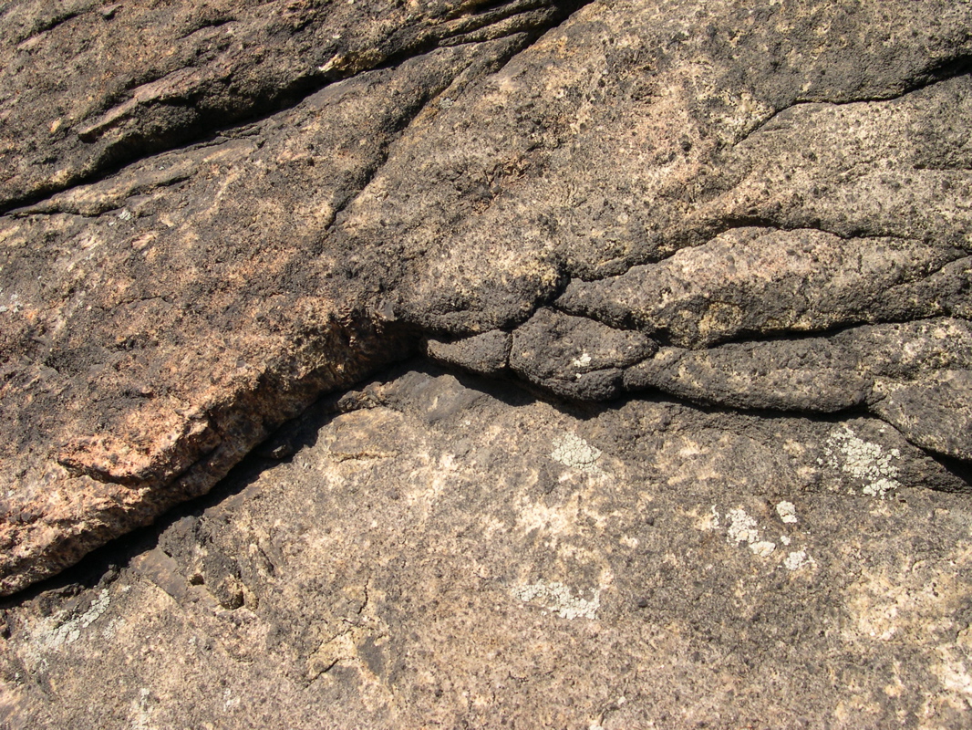 DSCN0080.JPG