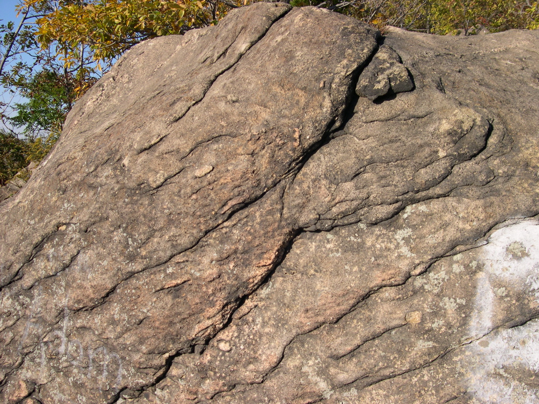 DSCN0081.JPG