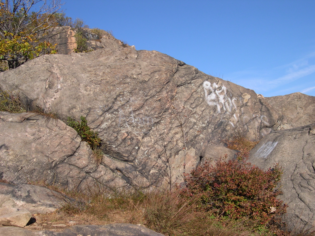 DSCN0082.JPG