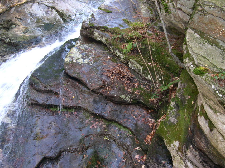 DSCN0058.JPG