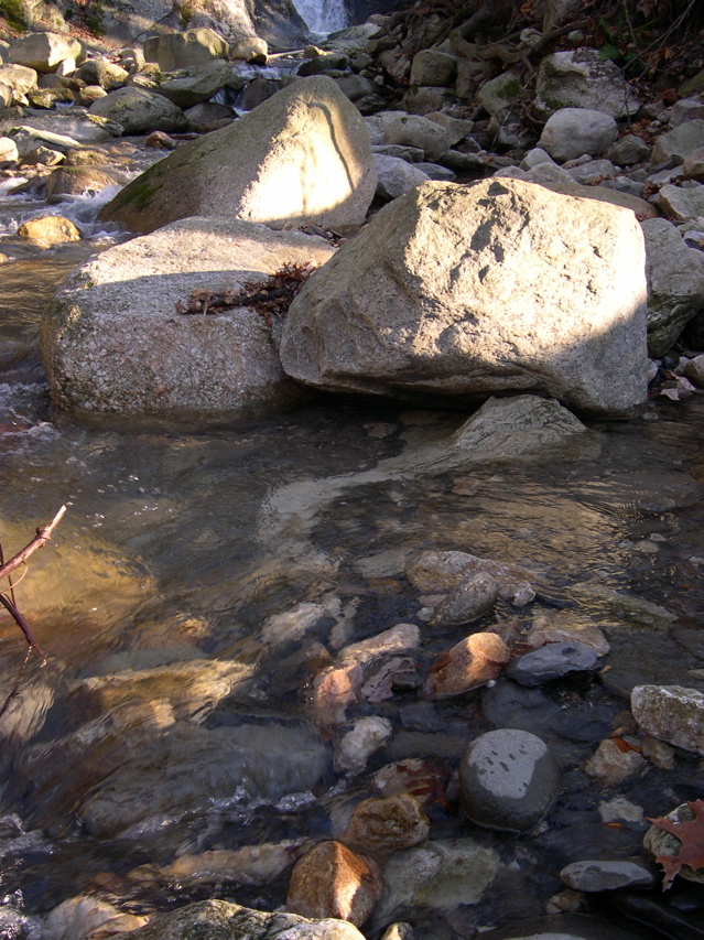 DSCN0062.JPG