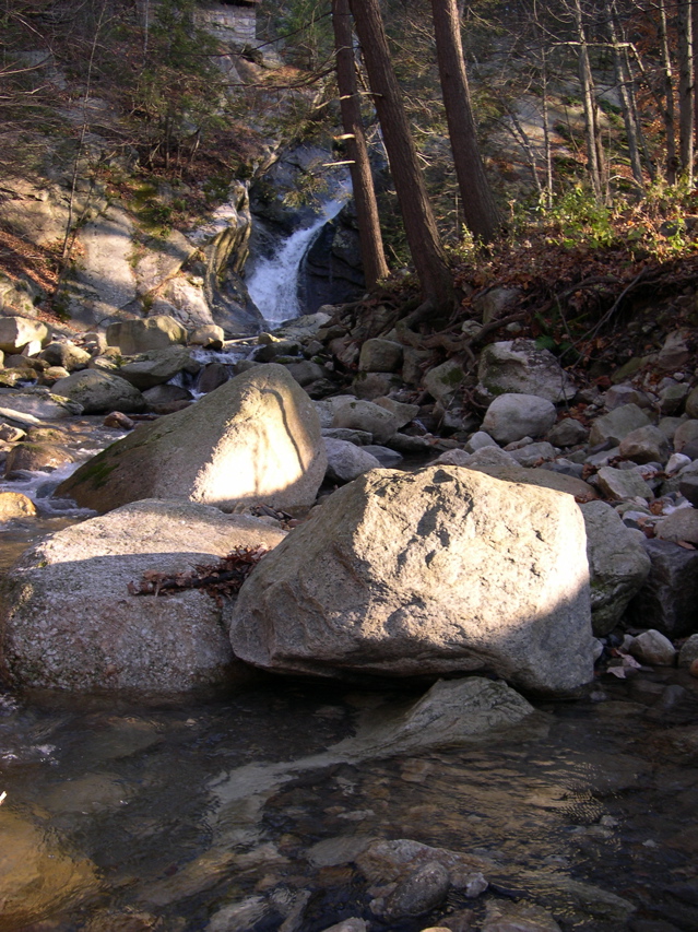 DSCN0063.JPG