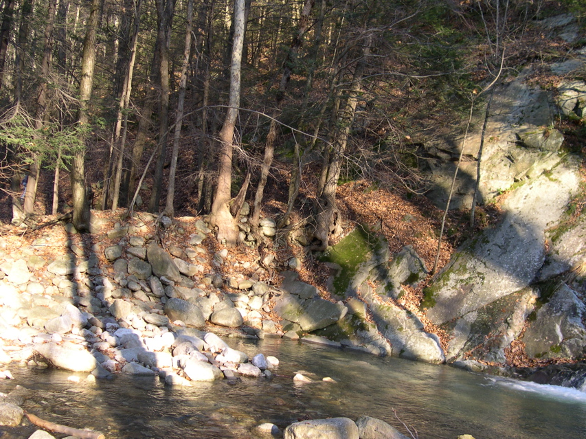 DSCN0070.JPG