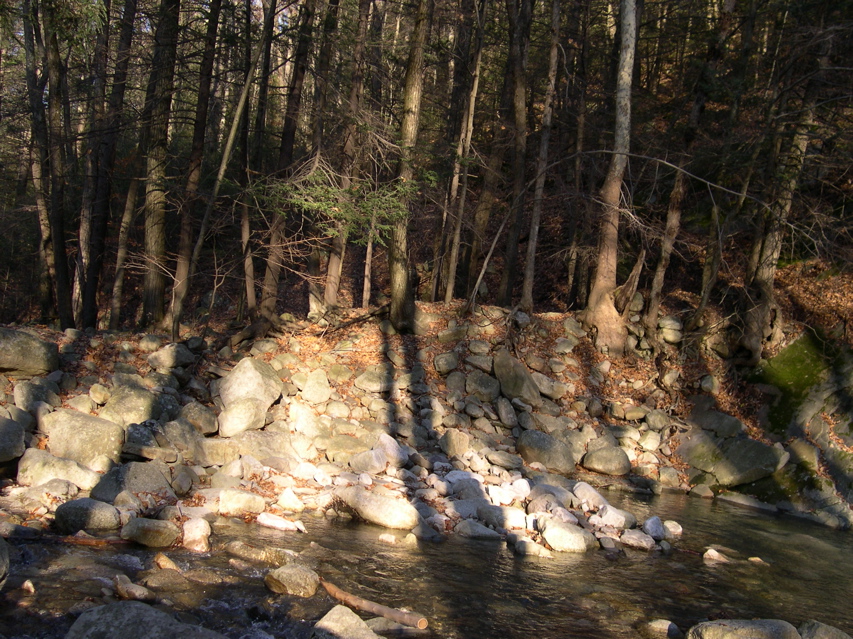 DSCN0071.JPG