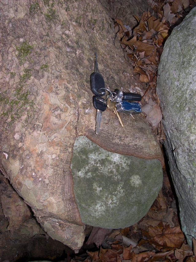 DSCN0073.JPG