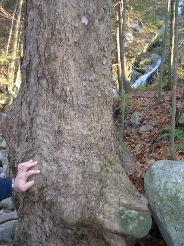 DSCN0074.JPG