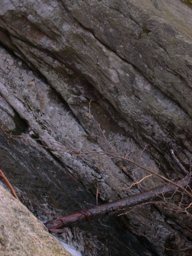 DSCN0079.JPG