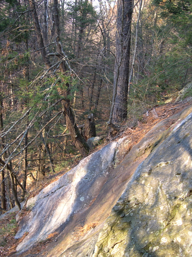 DSCN0087.JPG