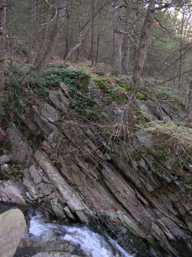 DSCN0089.JPG