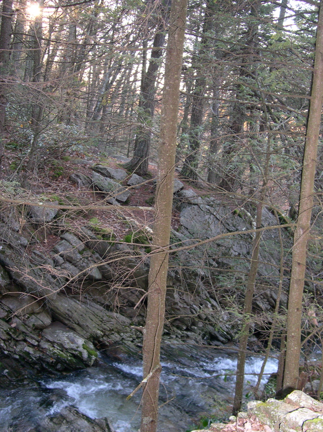 DSCN0092.JPG