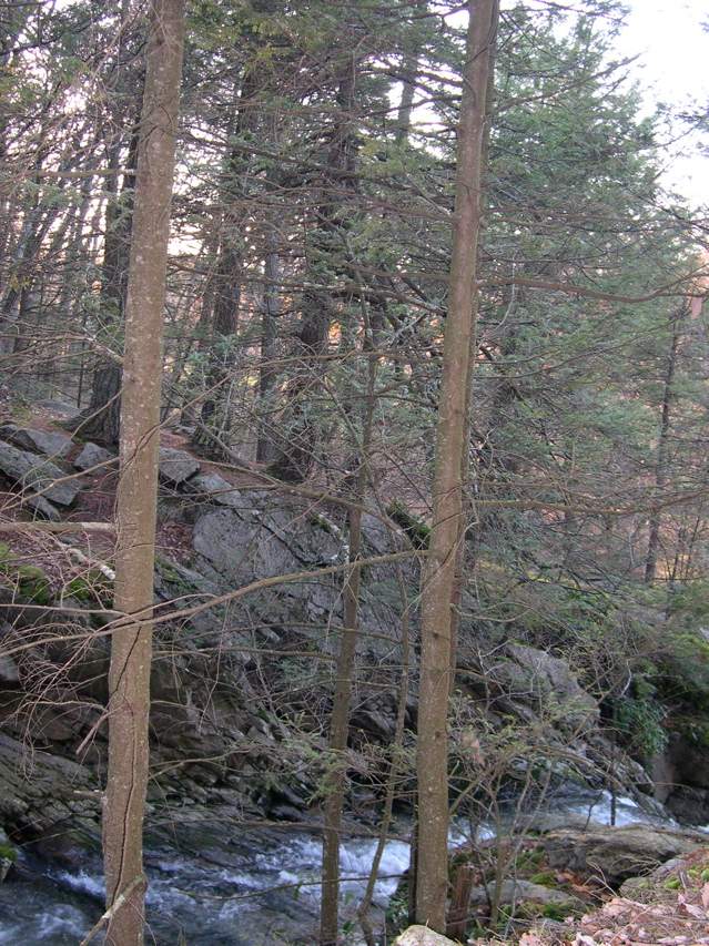 DSCN0093.JPG