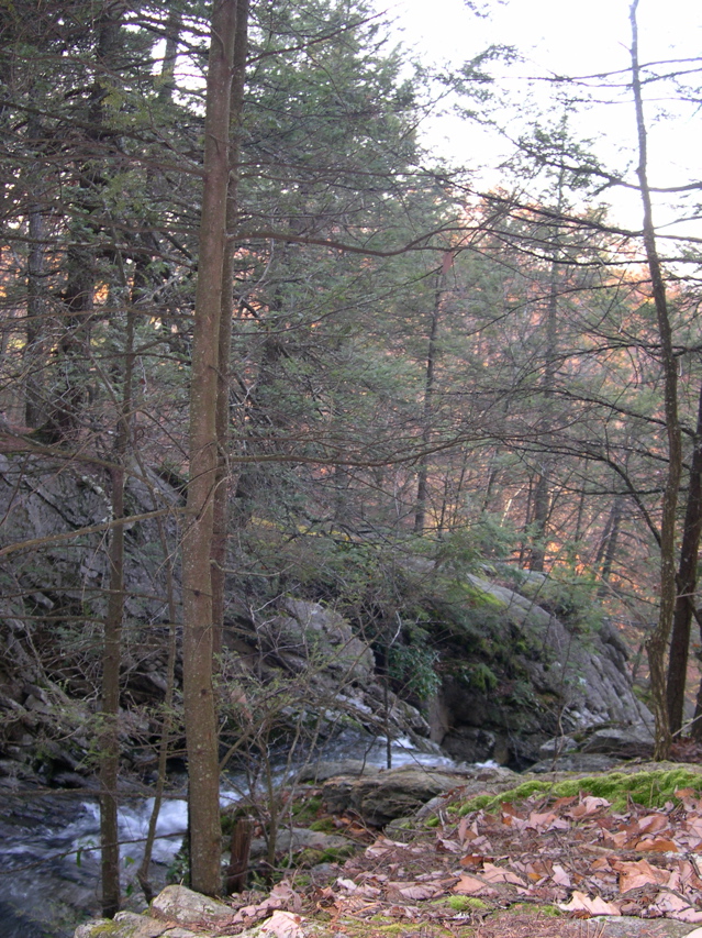 DSCN0094.JPG