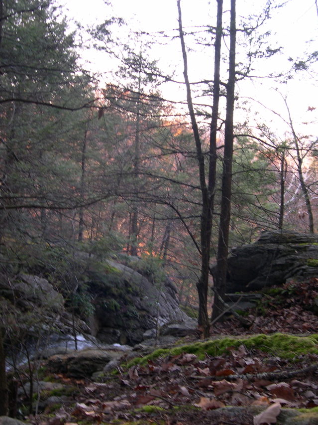 DSCN0095.JPG