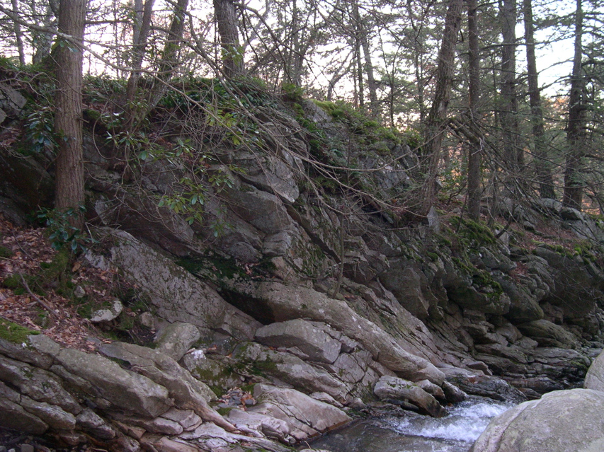 DSCN0101.JPG