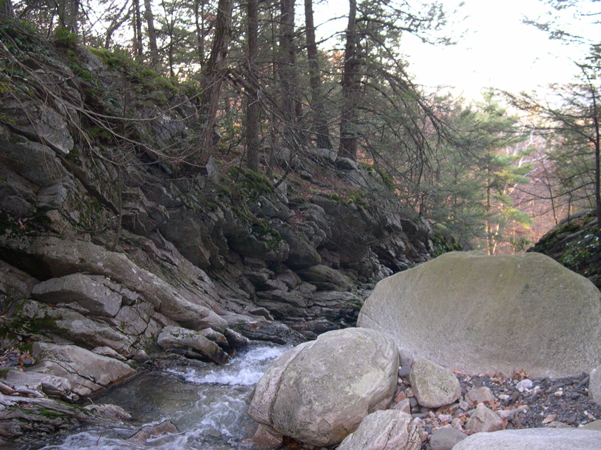 DSCN0102.JPG