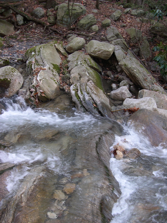 DSCN0104.JPG
