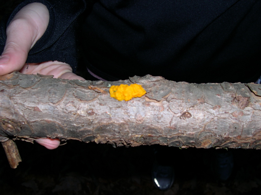 DSCN0106.JPG