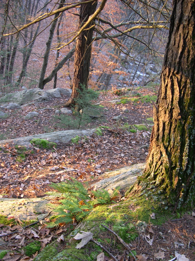 DSCN0110.JPG