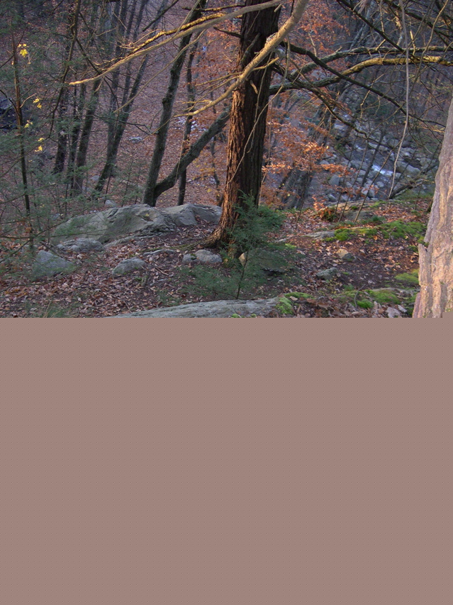 DSCN0111.JPG