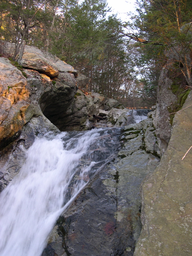DSCN0118.JPG