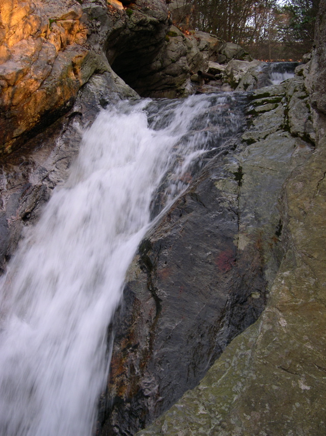 DSCN0119.JPG