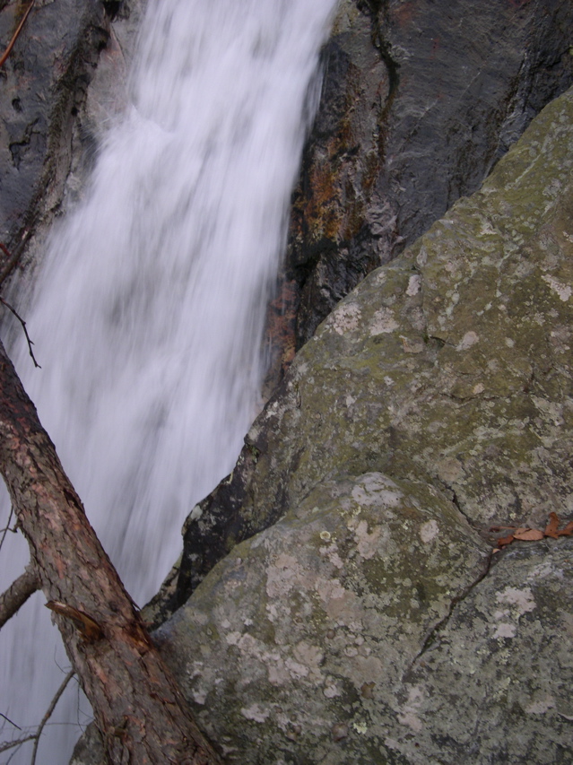 DSCN0122.JPG