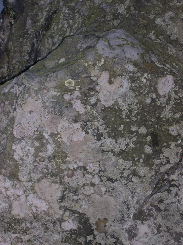 DSCN0123.JPG
