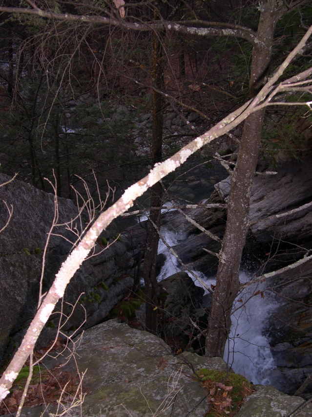 DSCN0126.JPG