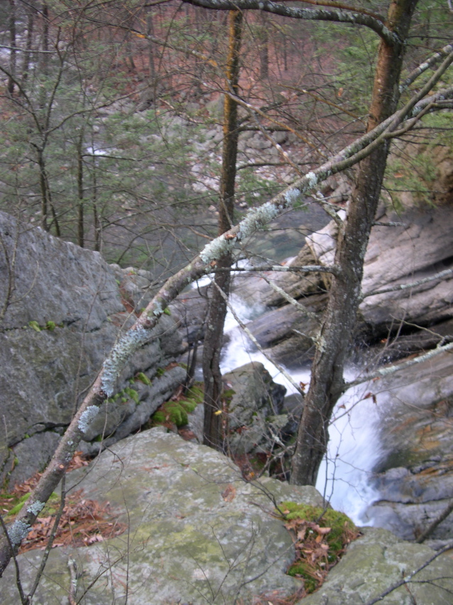 DSCN0127.JPG