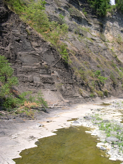 DSCN1012.JPG
