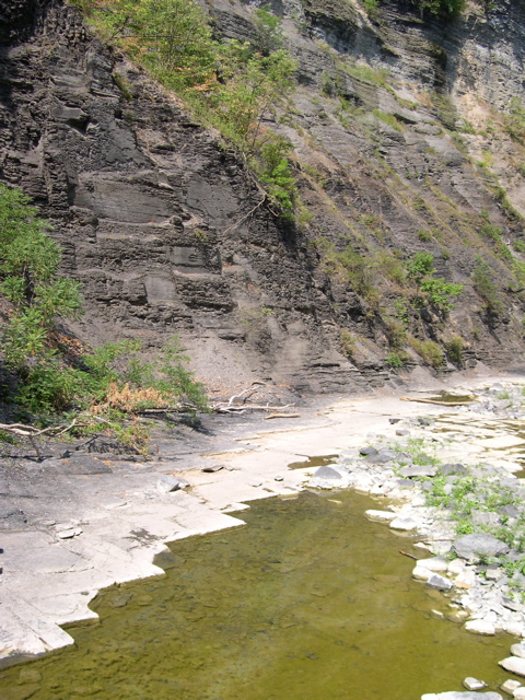 DSCN1013.JPG