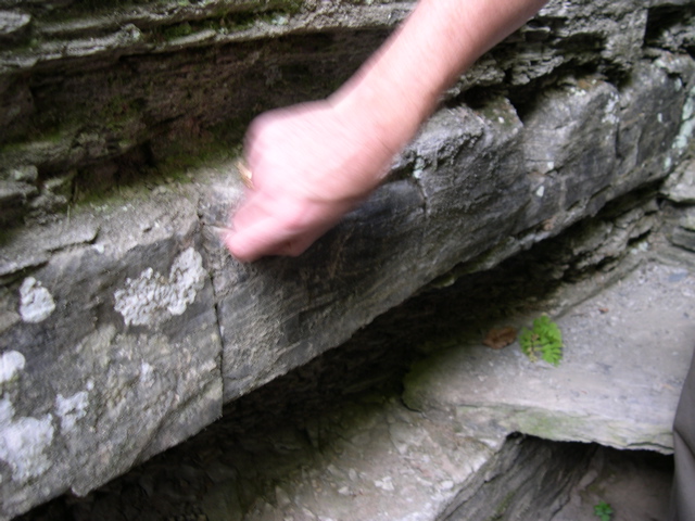 DSCN1028.JPG