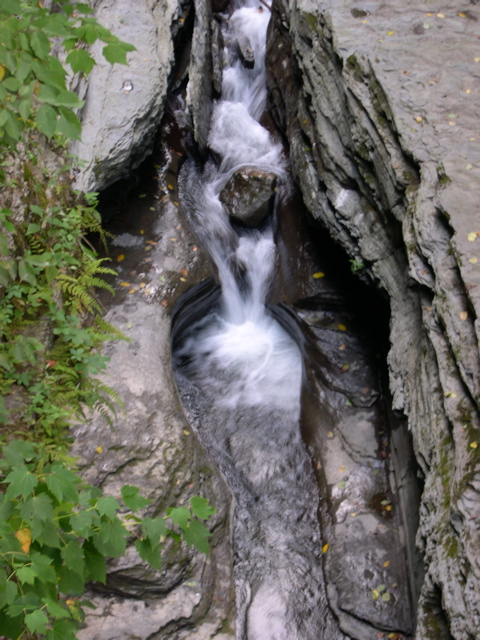 DSCN1030.JPG