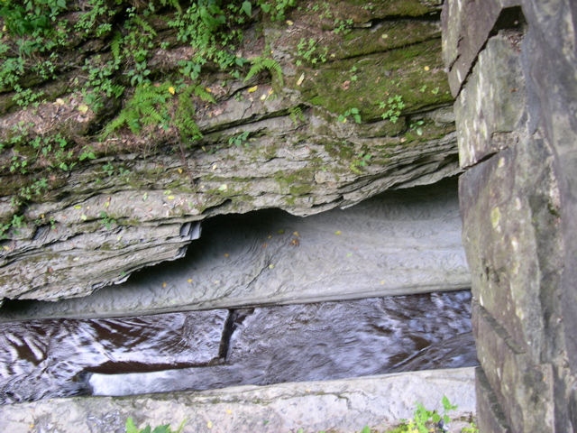 DSCN1032.JPG