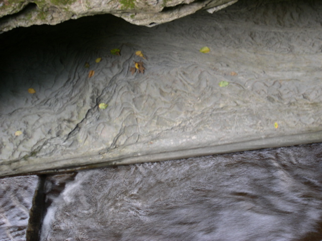 DSCN1033.JPG