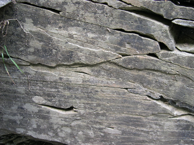 DSCN1034.JPG