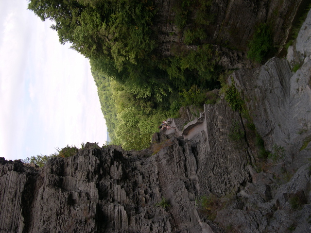 DSCN1036.JPG