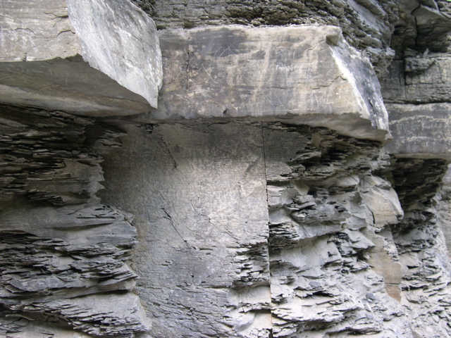 DSCN1042.JPG