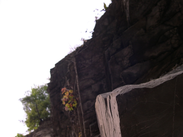 DSCN1043.JPG