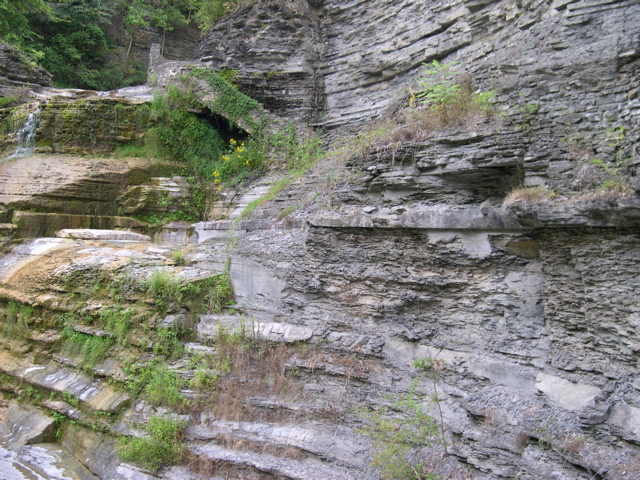 DSCN1047.JPG