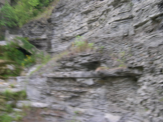 DSCN1049.JPG