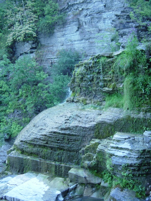 DSC03909