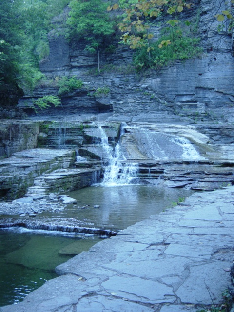 DSC03920