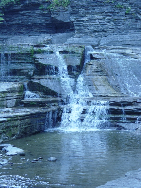 DSC03921
