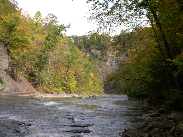 DSCN0161.JPG