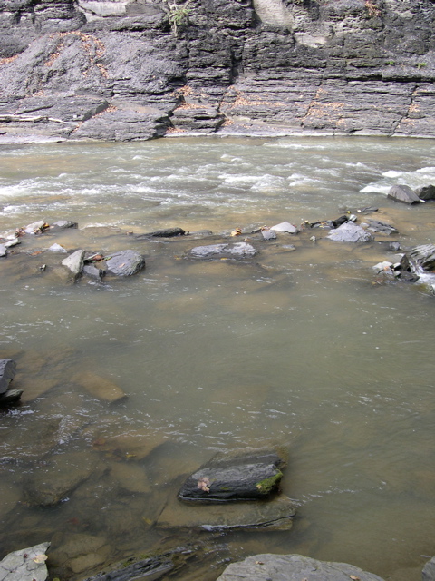 DSCN0162.JPG