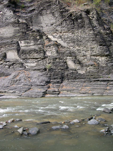 DSCN0163.JPG
