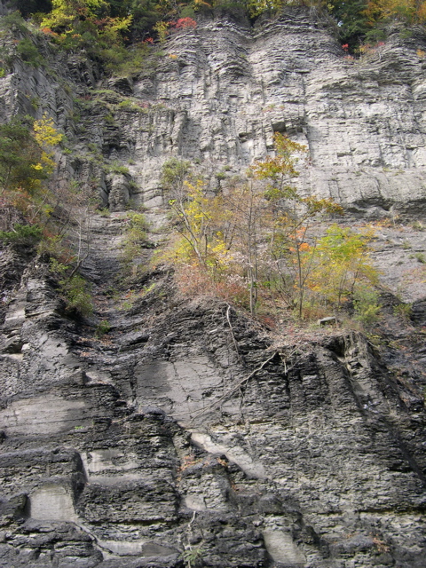 DSCN0165.JPG